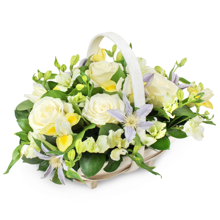 In this carefully arranged funeral basket, the softness of the flowers contrasts beautifully with the understated strength of the woven container. The basket itself is a light, almost creamy beige, with a sturdy handle that arcs over the blooms like a protective frame. Inside, the focal point is a cluster of generously open, creamy white roses, their velvety petals unfolding layer upon layer, suggesting devotion, remembrance, and the tenderness of a final goodbye. Nestled between these roses are delicate clematis blossoms in pale lavender and lilac-grey, each flower star-shaped and centered with a vivid yellow-green heart that adds a subtle sparkle to the pastel palette. Smaller white and soft yellow flowers, similar to freesia with their slightly curved stems and delicate throats, weave through the composition, some open and others still in tight bud, offering a sense of continuity and hope. The colours remain gentle and harmonious-ivory, cream, buttery lemon, and misty lilac-creating an atmosphere of calm reflection rather than stark sadness. Surrounding and supporting the blooms is an abundance of fresh, glossy green foliage, with wider leaves at the base and lighter, feathery sprigs threaded throughout, giving the design fullness and natural rhythm. The overall effect feels like a quiet garden captured at rest, the kind of tribute a Kilburn family might send to a chapel near Queen's Park or receive at home after a service. Thoughtfully composed, this basket speaks in a low, steady voice of sympathy, love, and respect, offering a comforting presence and a moment of beauty in the midst of loss.