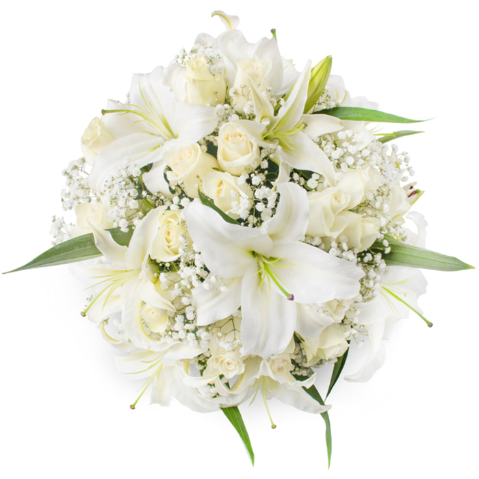 Viewed overhead, this impeccably arranged circular bouquet reads as an exercise in pure tones and careful proportion, its white and cream flowers occupying the frame with serene authority. Prominent white oriental lilies, their wide petals unfurling like delicate sails, reveal light green stamens and a hint of deeper colour at their centres that anchors the eye. Around them, creamy roses are held in various stages of bloom - some tightly coiled, others opening to form soft rosettes - their velvety petals introducing a tactile softness against the lilies' sculpted planes. Wisps of Baby's Breath (Gypsophila) are liberally yet thoughtfully placed, their clusters of minute white florets lending a frothy, cloud-like texture that breathes between the larger blooms and prevents visual heaviness. A few verdant leaves peek from beneath the flowers, their verdancy giving a natural counterpoint that enhances the whites without intruding. The lighting is even and gentle, removing harsh shadows and allowing the subtle variations of cream and ivory to be read clearly, which suggests the photograph was taken with care in a studio or a quiet corner of a Kilburn shop on a soft morning. The composition conveys timeless elegance and a sense of occasion - a bouquet poised for a wedding aisle, a refined celebration at a nearby hall, or a thoughtful sympathy tribute. The overall impression is one of refined craftsmanship, the quiet confidence of a florist attuned to texture, scent and proportion in equal measure.